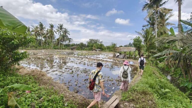 Bali: Rural Trekking and River Adventure Tour - Trekking Through Rice Terraces and Caves