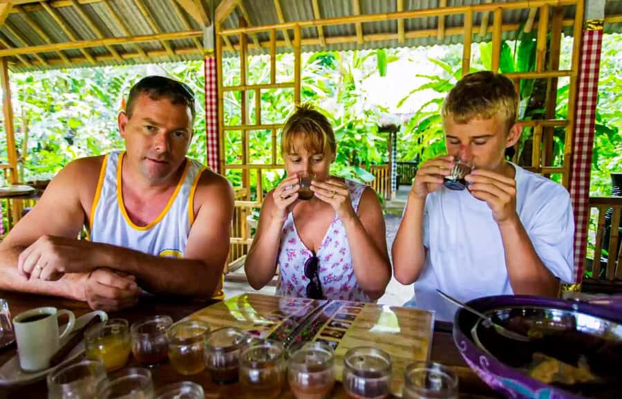 Bali: Sacred Lakes Temple, Hidden Waterfalls & Highland Calm - Practical Details & Tips