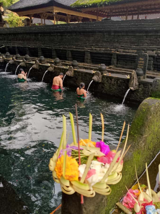 Bali: Sacred Monkey Forest, Rice Terraces & Ritual Tour - Ubud and the Rice Terraces