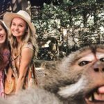 BALI :Sanctuary Monkey forest, rice terrace Water temple - Overview of the Tour