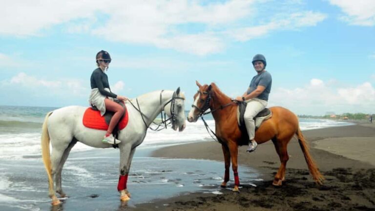Bali: Sanur Horse Riding for Beginner Experience - The Guides and the Horses: Care and Professionalism