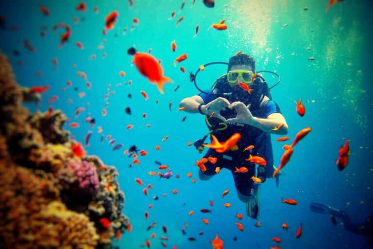 Bali: Scuba Diving Experience for Beginners and Families - Final Thoughts: Is It Worth It?