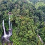 Bali: Sekumpul and Banyumala Waterfall Guided Trek - The Itinerary Breakdown: What to Expect