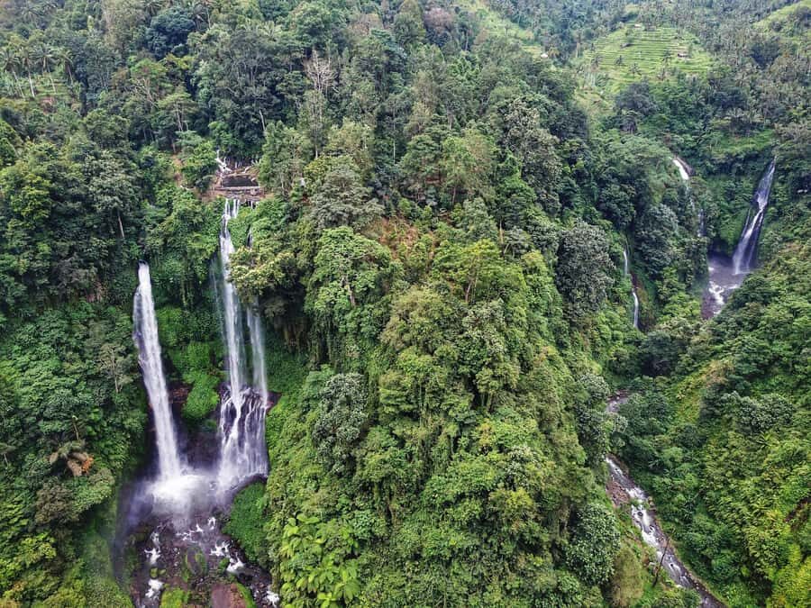 Bali: Sekumpul and Banyumala Waterfall Guided Trek - The Itinerary Breakdown: What to Expect