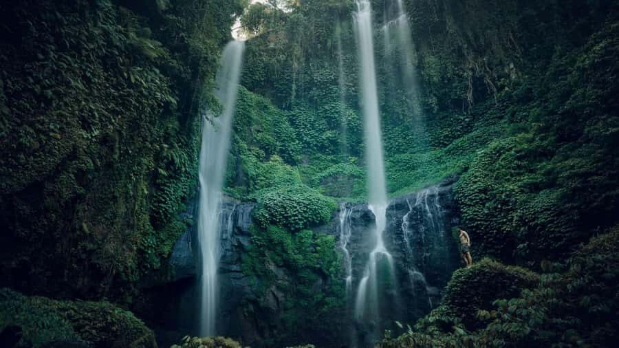 Bali: Sekumpul and Fiji Private Full-Day Waterfall Tour - What Reviewers Say
