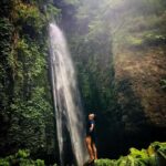 Bali: sekumpul Waterfalls, Rice Terraces, and fuji waterfall - Trekking Through Lush Rice Terraces