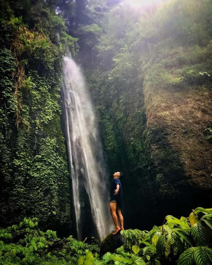 Bali: sekumpul Waterfalls, Rice Terraces, and fuji waterfall - Trekking Through Lush Rice Terraces