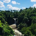 Bali Shore Excursion from Benoa port - What’s Included and What’s Not