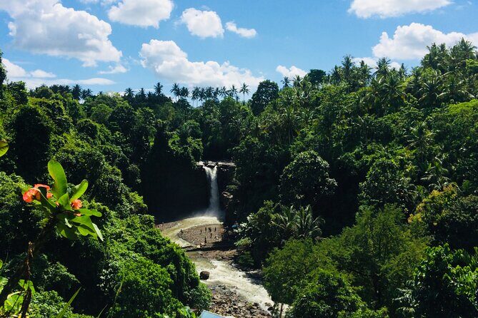 Bali Shore Excursion from Benoa port - Stop 3: Tirta Empul Temple (1 Hour)