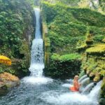 Bali Shore Excursion from Benoa Port  All-Inclusive Private Trip - What’s Included and What to Expect