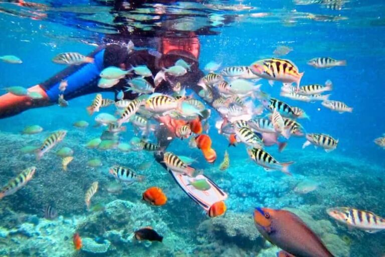 Bali: Snorkeling at Blue Lagoon and Tanjung Jepun with Lunch - The Snorkeling Experience: What’s Included?