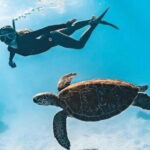 Bali Snorkeling at Blue Lagoon and Tanjung Jepun with Transfer - Detailed Insights: Why This Tour Works