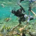 Bali Snorkeling at Blue Lagoon & Tanjung Jepun Beach: All-Inclusive - The Itinerary Breakdown: What to Expect
