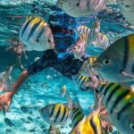 Bali : Snorkeling at two Spots with Lunch and transport - The Itinerary Breakdown