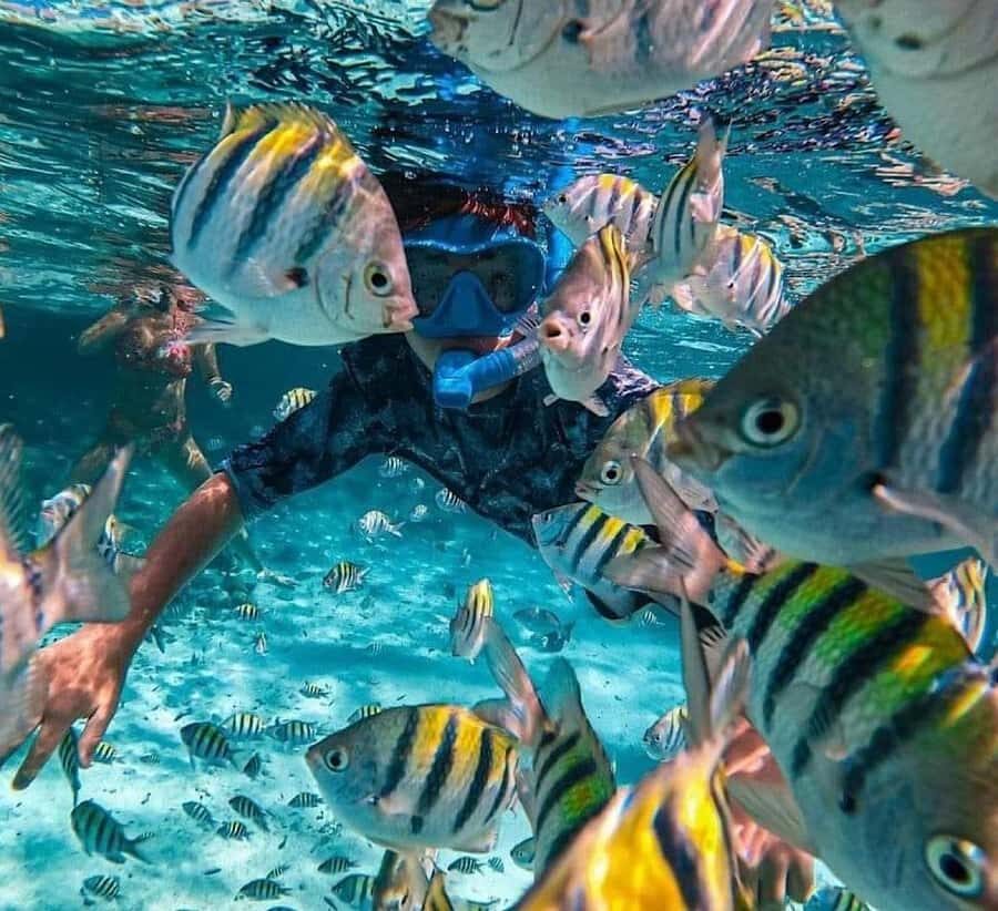 Bali : Snorkeling at two Spots with Lunch and transport - The Itinerary Breakdown