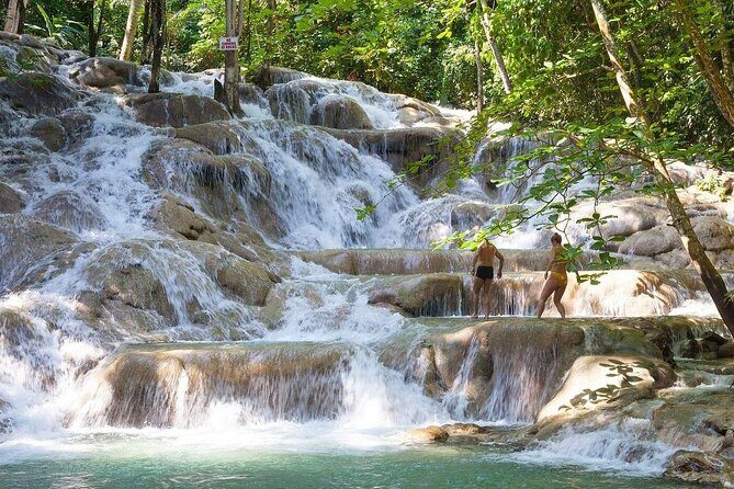 Bali Style High Ropes Swing and Dunn's River Fall Adventure - The Value of This Tour