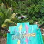 Bali Style Swing and Dunn's River Falls - Soaring on the Bali-Style Swing: A New Level of Adventure