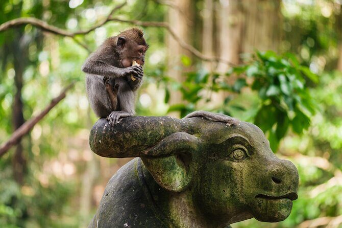 Bali: Swing Heaven, Monkey Forest and Waterfall Guided Tour - Practical Details That Matter