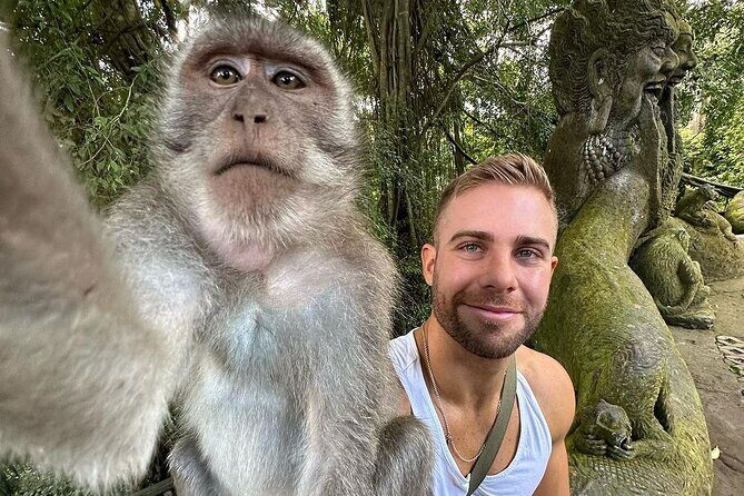 Bali Swing, Monkey Forest and Waterfall - Private Tour - What’s Included and What’s Not?
