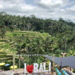 Bali Swing Packages and Kintamani Mt Batur Volcano View - Final Thoughts: Who Will Enjoy This Tour?