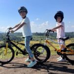 Bali: Tabanan Rice Terraces E-Bike Tour with Breakfast - What Makes This Tour Stand Out?
