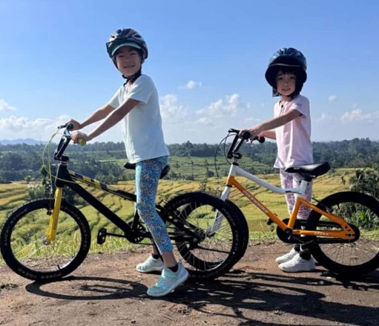 Bali: Tabanan Rice Terraces E-Bike Tour with Breakfast - What Makes This Tour Stand Out?