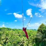 Bali Taman Grya Beji Waterfall and Jungle Swing Private Tour - Whats Included & Whats Not