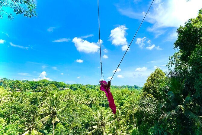 Bali Taman Grya Beji Waterfall and Jungle Swing Private Tour - Whats Included & Whats Not