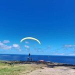 Bali: Tandem Paragliding with Professional Instructor - Why Youll Love This Experience