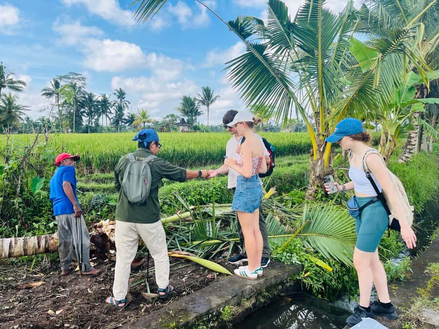 Bali: Taro Village Trek with Rice Terraces and Vegan Feast - Scenic Walks and the Rice Terraces
