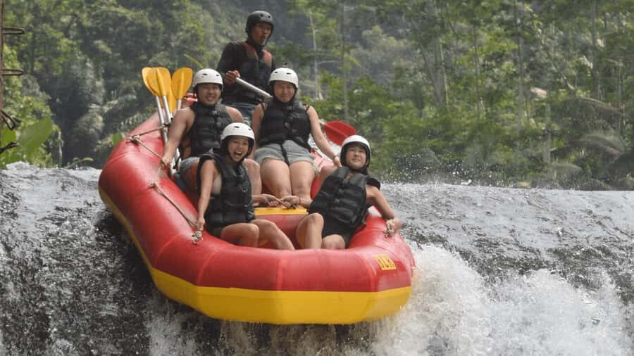 Bali: Telaga Waja Rafting, Sidemen Trek & Coffee Tour - Deep Dive: What You Can Expect at Each Stage