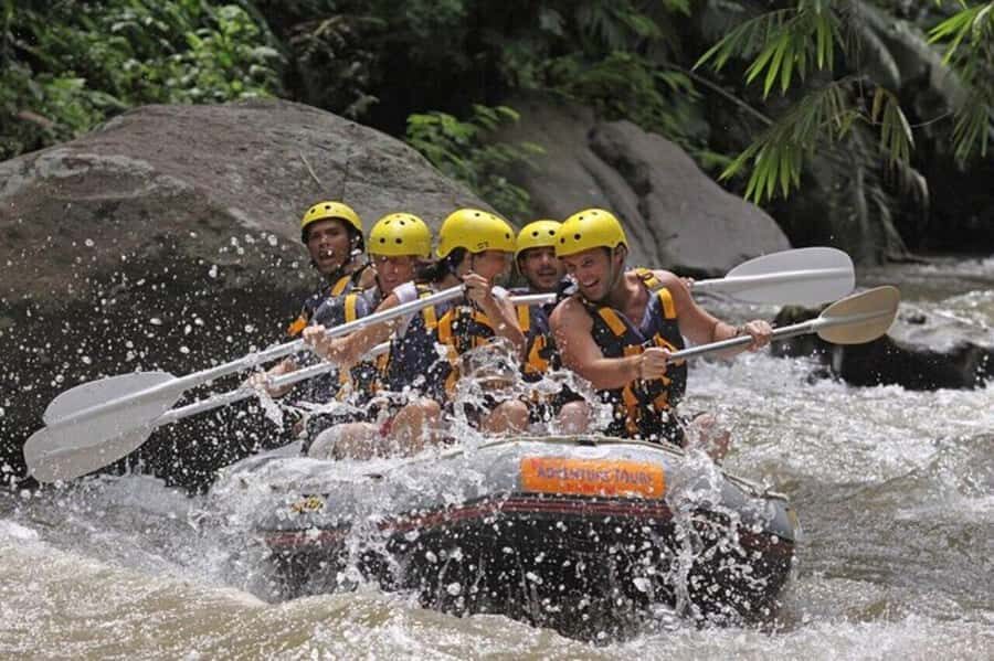 Bali: Telaga Waja White Water River Guided Rafting & Lunch - Who Would Love This Tour?