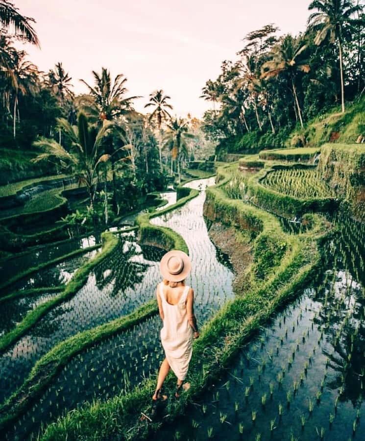 Bali: Temple, Waterfall, and Rice Terrace Private Tour - Exploring the Itinerary in Detail
