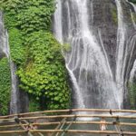 Bali: The Icons Highlands, Heritage & Horizons - Practical Details & What to Expect