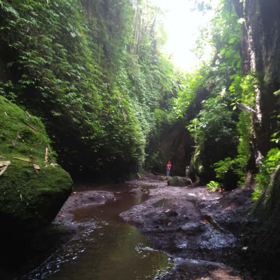 Bali: Tibumana, Tukad Cepung, Kanto Lampo, & Tegenungan Tour - The Sum Up