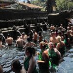 Bali Tirta Empul Tours Experience with Spiritual Cleansing - Discovering Ulu Petanu Waterfall