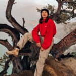 Bali to Ijen Blue Fire 1 day Tour Midnight Hike and Sunrise - Arriving at Ijen: The Start of the Trek