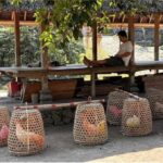 Bali: Traditional Villages, Salt Farm & Tirta Gangga Tour - The Experience at a Glance