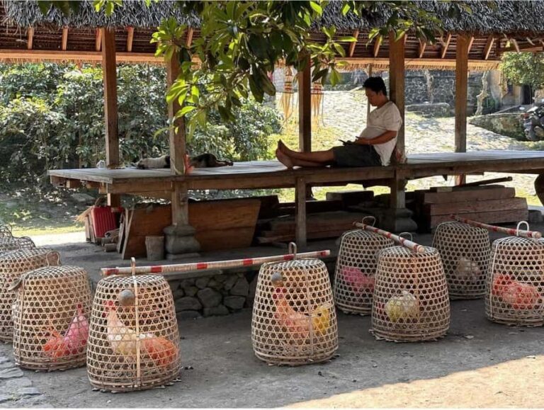 Bali: Traditional Villages, Salt Farm & Tirta Gangga Tour - The Experience at a Glance