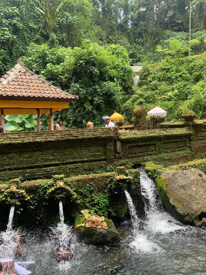 Bali: Traditional Water Blessing & Storytelling - Detailed Breakdown of the Itinerary