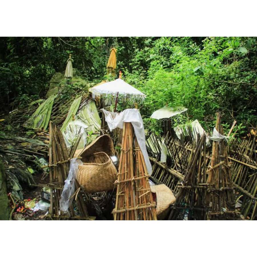 Bali: Trunyan Village & Lake Batur Sunset Boat Tour - A Thorough Breakdown of the Itinerary