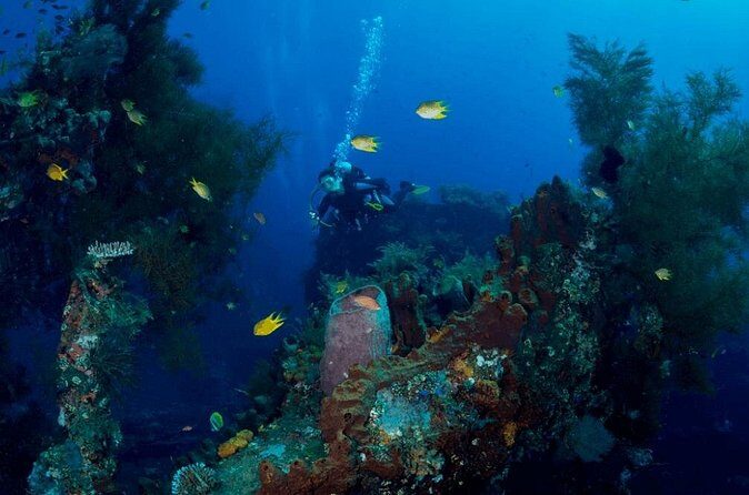 Bali: Tulamben Scuba Diving at USS Liberty Shipwreck - Who Will Love This Tour?
