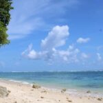 Bali: Turtle Conservation, GWK, Melasti Beach & Uluwatu - Turtle Conservation Center: A Heartfelt Introduction to Marine Life