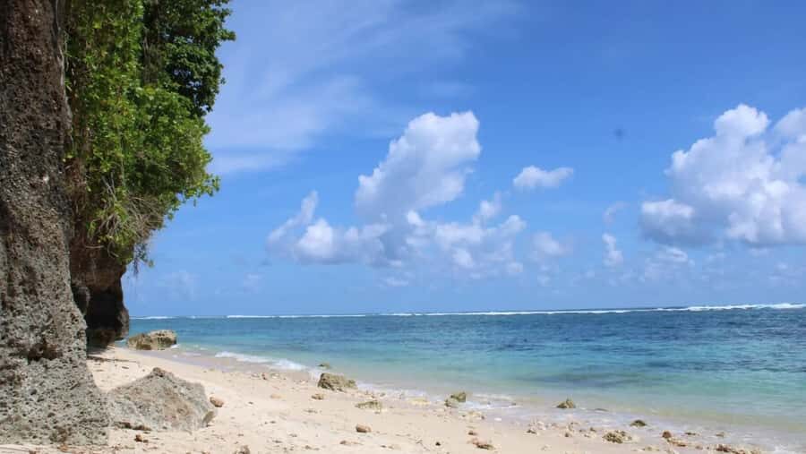 Bali: Turtle Conservation, GWK, Melasti Beach & Uluwatu - Turtle Conservation Center: A Heartfelt Introduction to Marine Life