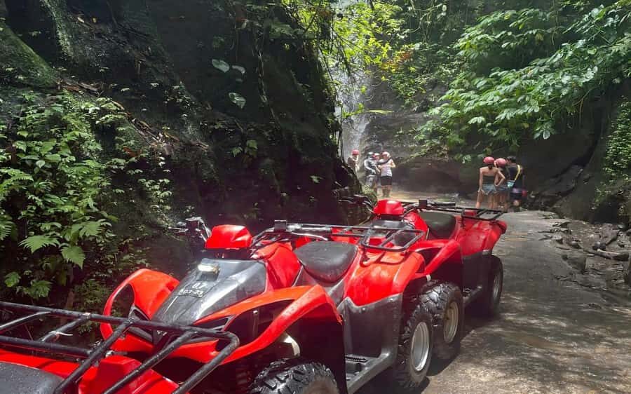 Bali Ubud Adventure: ATV Ride, Rafting & Alas Swing Day Tour - An In-Depth Look at the Bali Ubud Adventure Tour