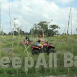 Bali: Ubud Atv Quad Bike With Lunch - Overall Value and Who It’s Perfect For
