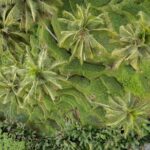 Bali Ubud : Full or Half Day Private Adventure Tour - Transportation and Practicalities