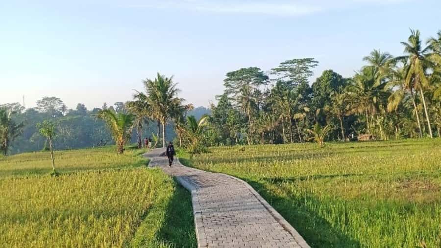 Bali: Ubud Highlight Tour With Flexible Itinerary Options - The Value of Private, Customizable Tours