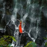 Bali/Ubud: Kanto Lampo Waterfall, Monkey Forest & Swing Tour - The Practicalities: What to Expect