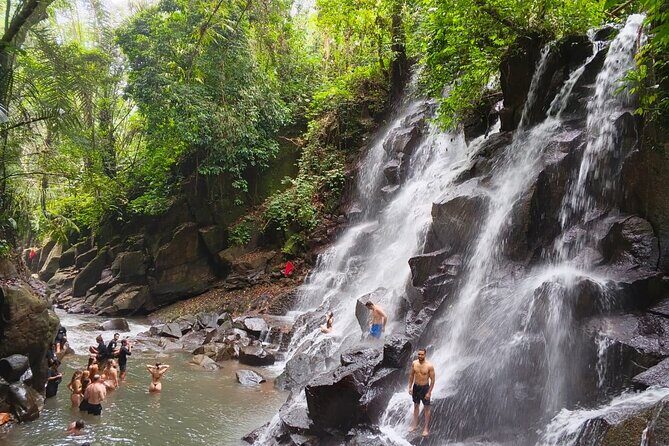 Bali: Ubud Rice terrace, water temple, and waterfall Tour - The Sum Up